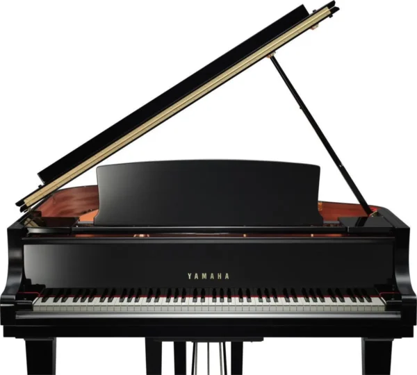 YAMAHA C1X