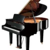 YAMAHA C1X