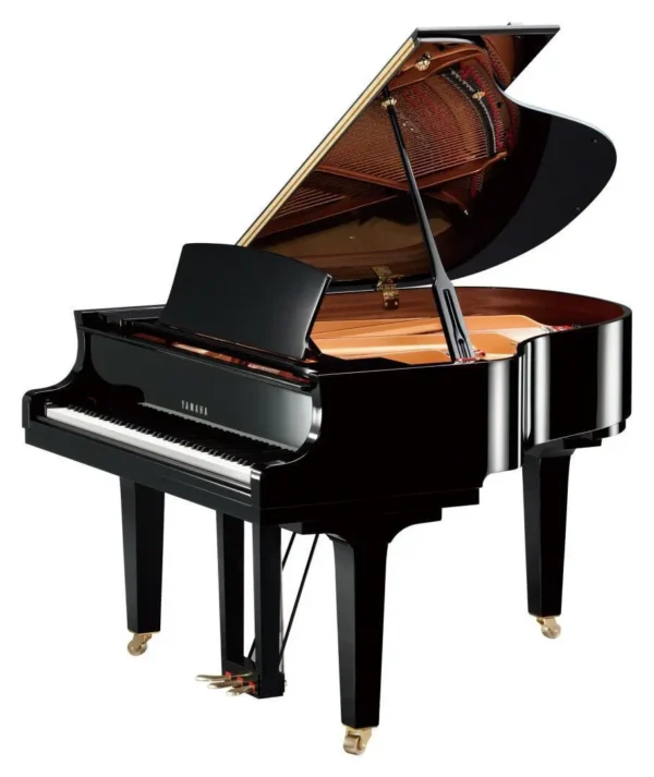 YAMAHA C1X