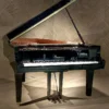 YAMAHA C2X