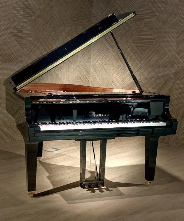 YAMAHA C2X