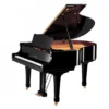 YAMAHA C2