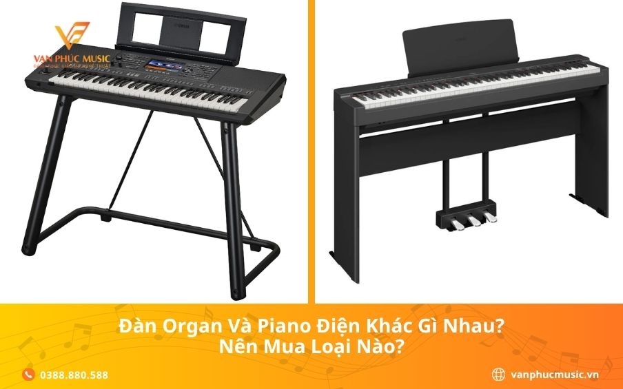Đàn organ và piano điện khác gì nhau?