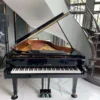 YAMAHA C5