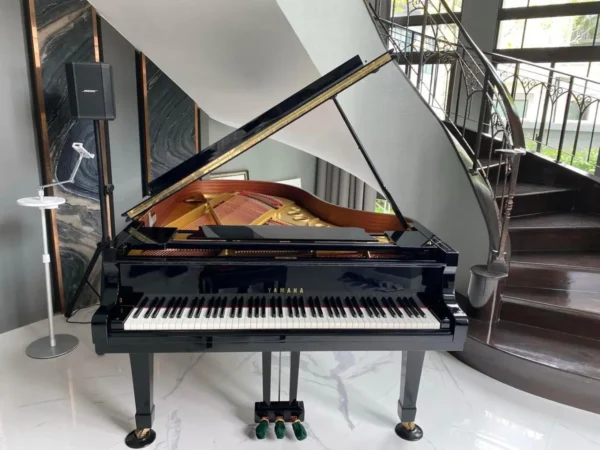 YAMAHA C5