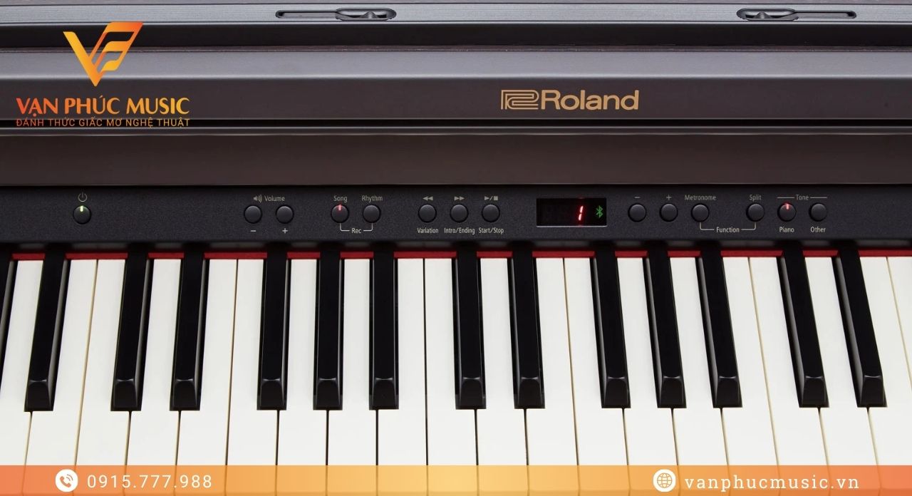 Roland RP-501