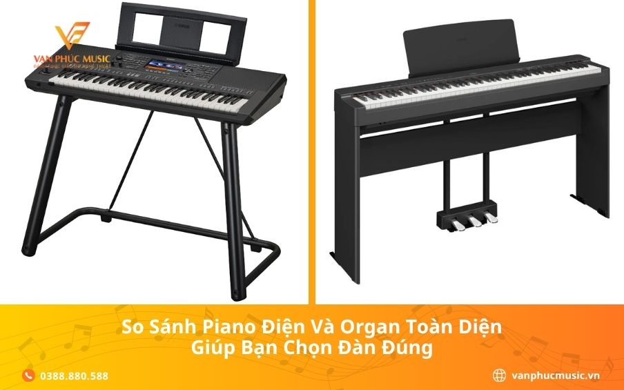 So Sánh Piano Điện Và Organ Toàn Diện Giúp Bạn Chọn Đàn Đúng