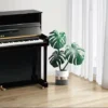 Đàn piano Yamaha B được yêu thích để sử dụng trong các gia đình