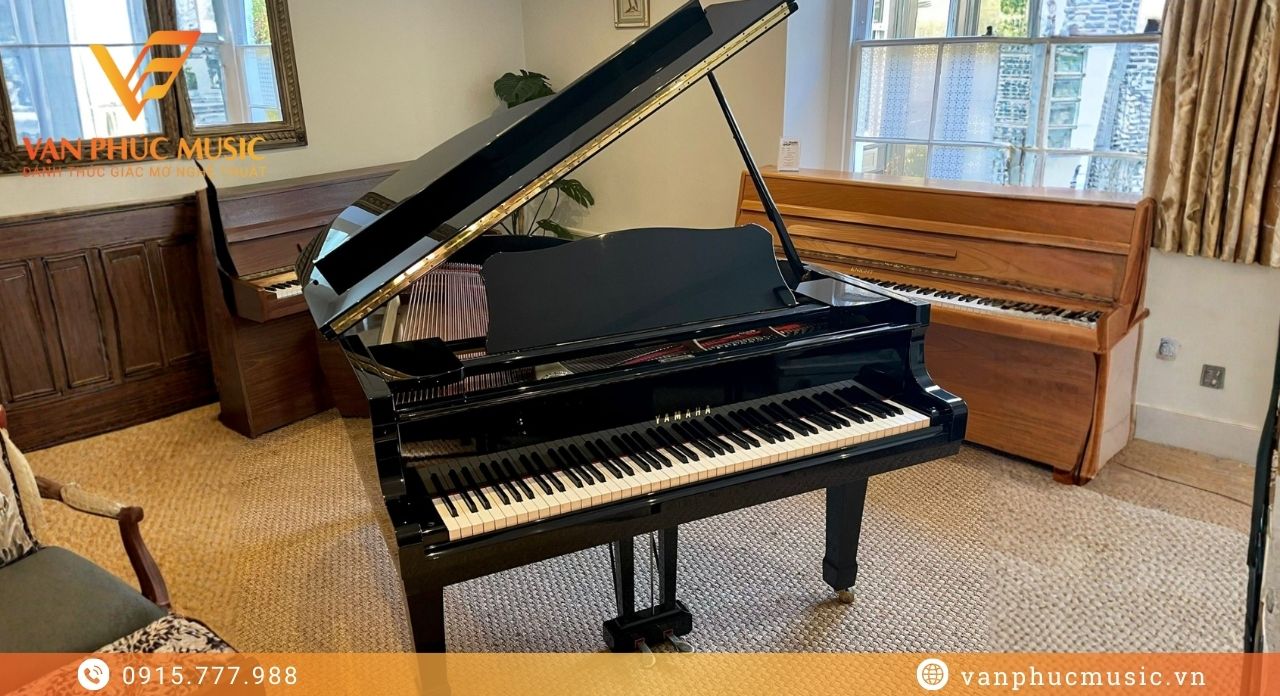 YAMAHA G2 đã qua sử dụng YAMAHA G2 đã qua sử dụng