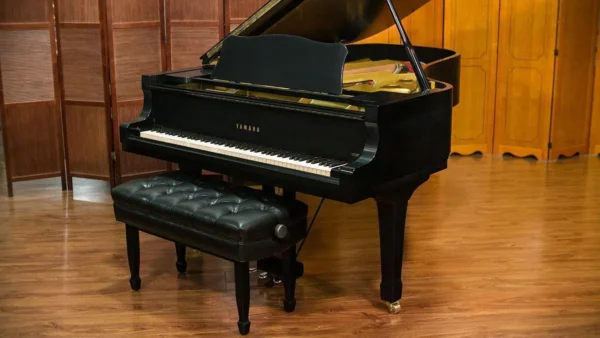 YAMAHA C7