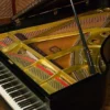 YAMAHA C7