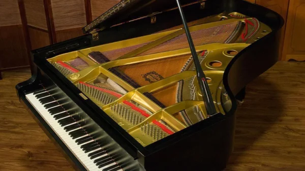 YAMAHA C7