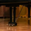 YAMAHA C7