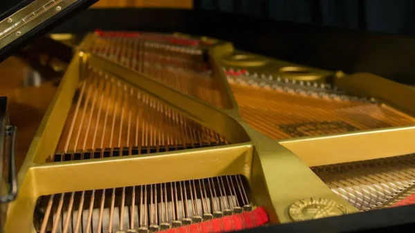 YAMAHA C7