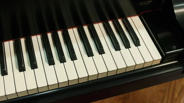 YAMAHA C7