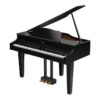 ROLAND GP-607