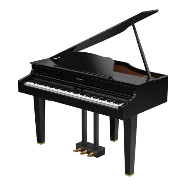 ROLAND GP-607