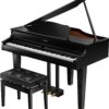 ROLAND GP-607