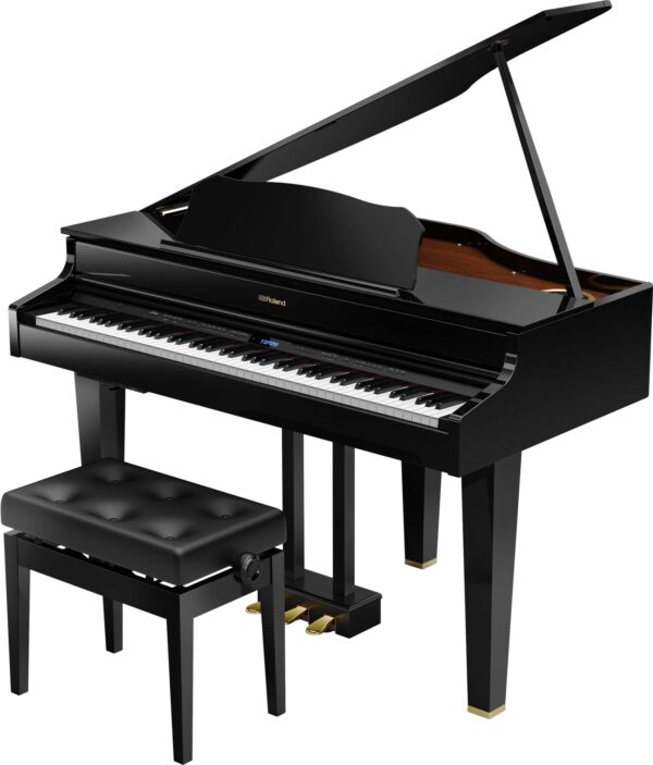 ROLAND GP-607