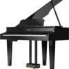 ROLAND GP-607
