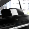 ROLAND GP-607