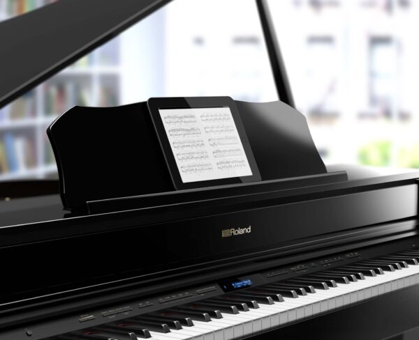 ROLAND GP-607