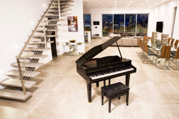 ROLAND GP-607