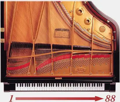Kawai CN29 DW lấy mẫu tất cả 88 phím piano
