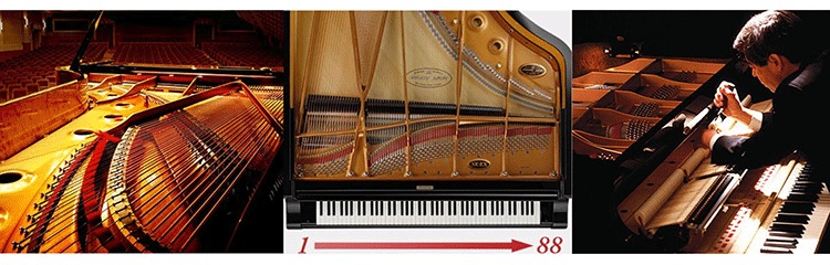Đàn piano điện Kawai CN 301 sử dụng công nghệ PHI để lấy mẫu âm thanh của những cây đàn grand nổi tiếng như: SK-EX, SK-5, EX, K-60
