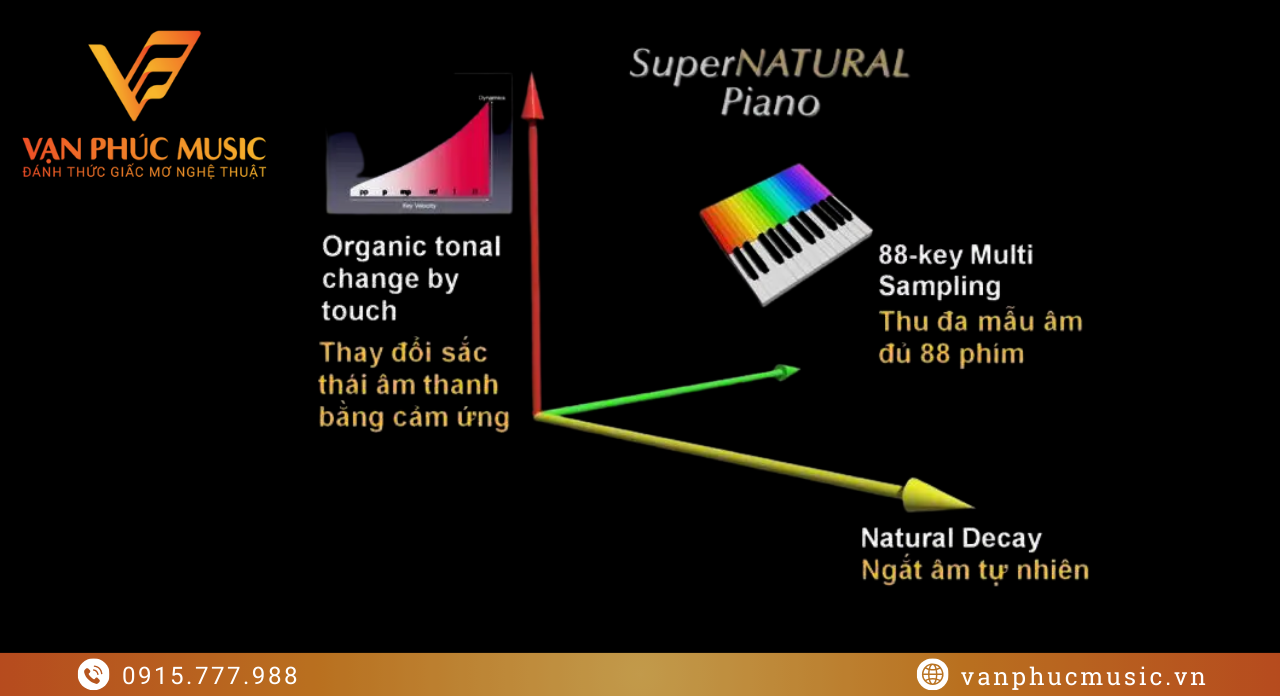 ROLAND DP 603CB ROLAND DP 603CB