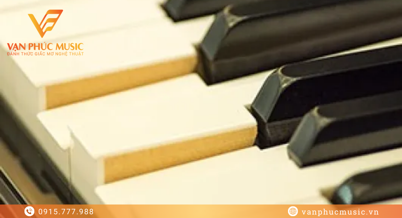 ROLAND DP 603CB ROLAND DP 603CB