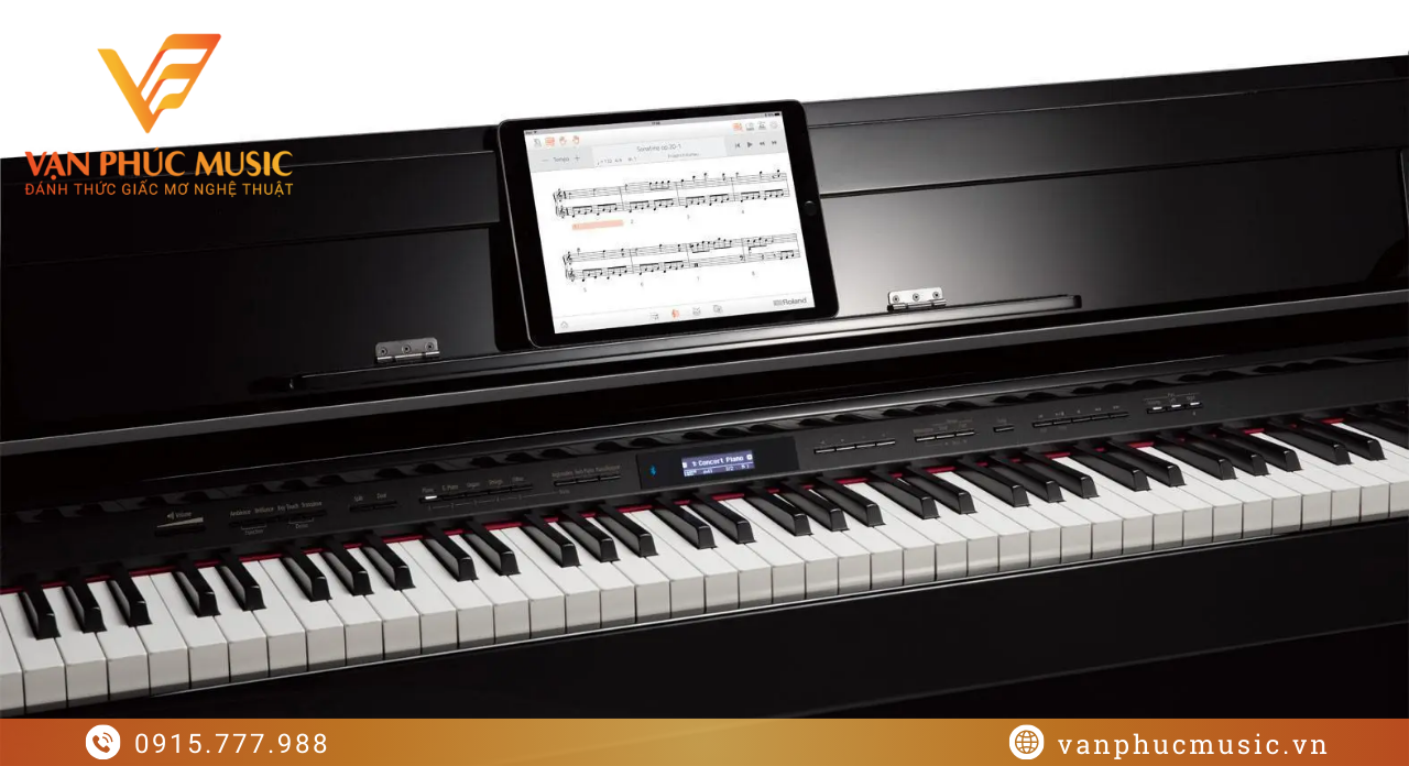 ROLAND DP 603CB ROLAND DP 603CB