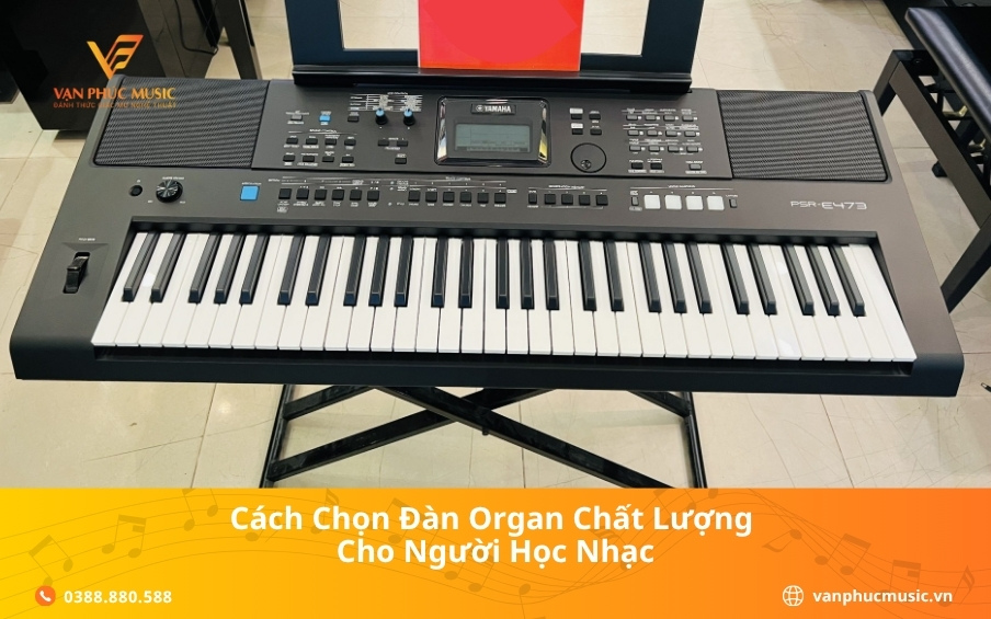 Cách chọn đàn organ chất lượng cho người học nhạc