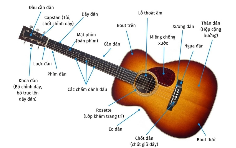 Các bộ phận cấu tạo đàn guitar
