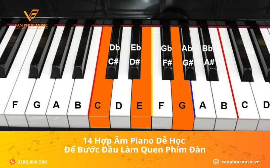 14 hợp âm piano dễ học để bước đầu làm quen phím đàn
