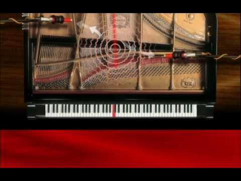 Công nghệ âm thanh AWM