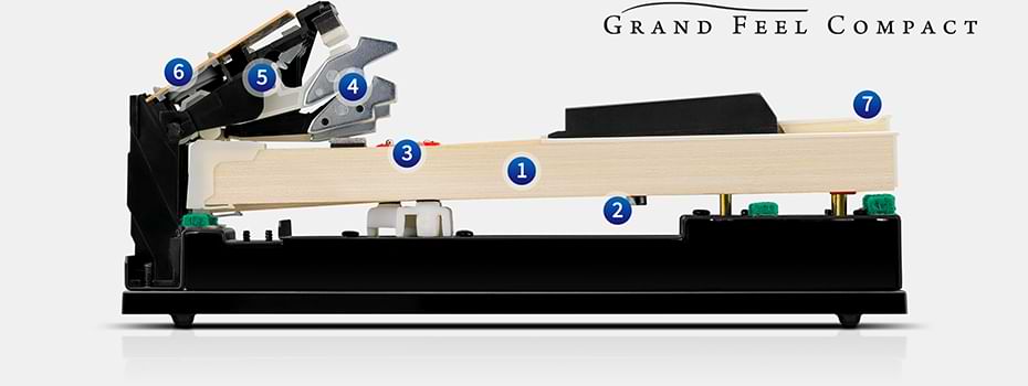 hình ảnh phím đàn grand feel compact kawai ca501 r