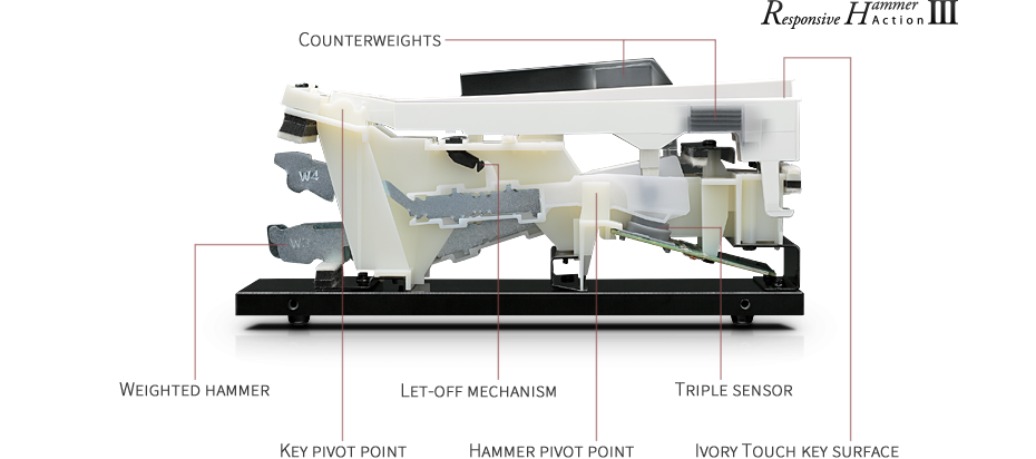 Phím Responsive Hammer III mang lại trải nghiệm chơi mượt mà