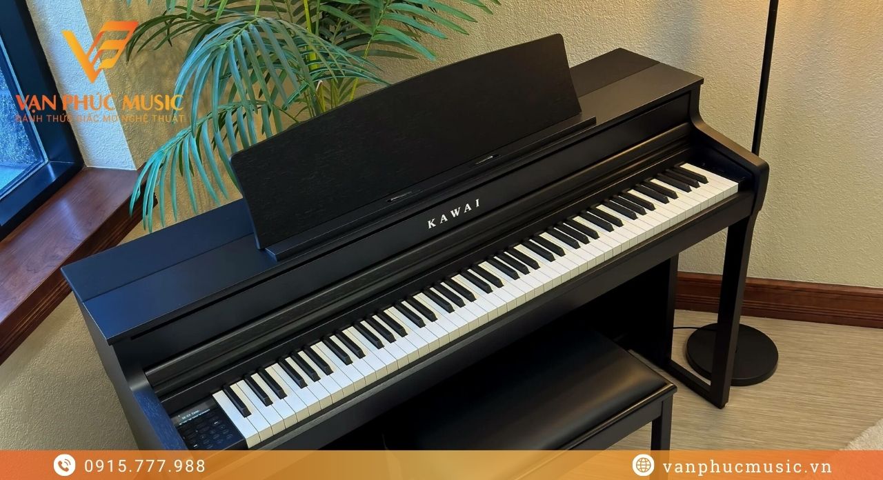 KAWAI CA501B