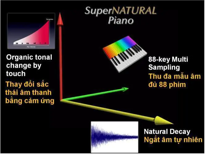 Công Nghệ âm thanh Supernatural Roland