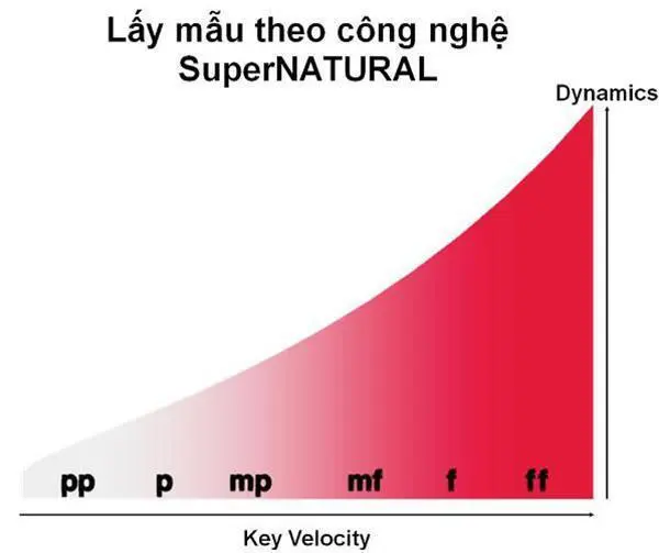 công nghệ SuperNATURAL Piano Roland