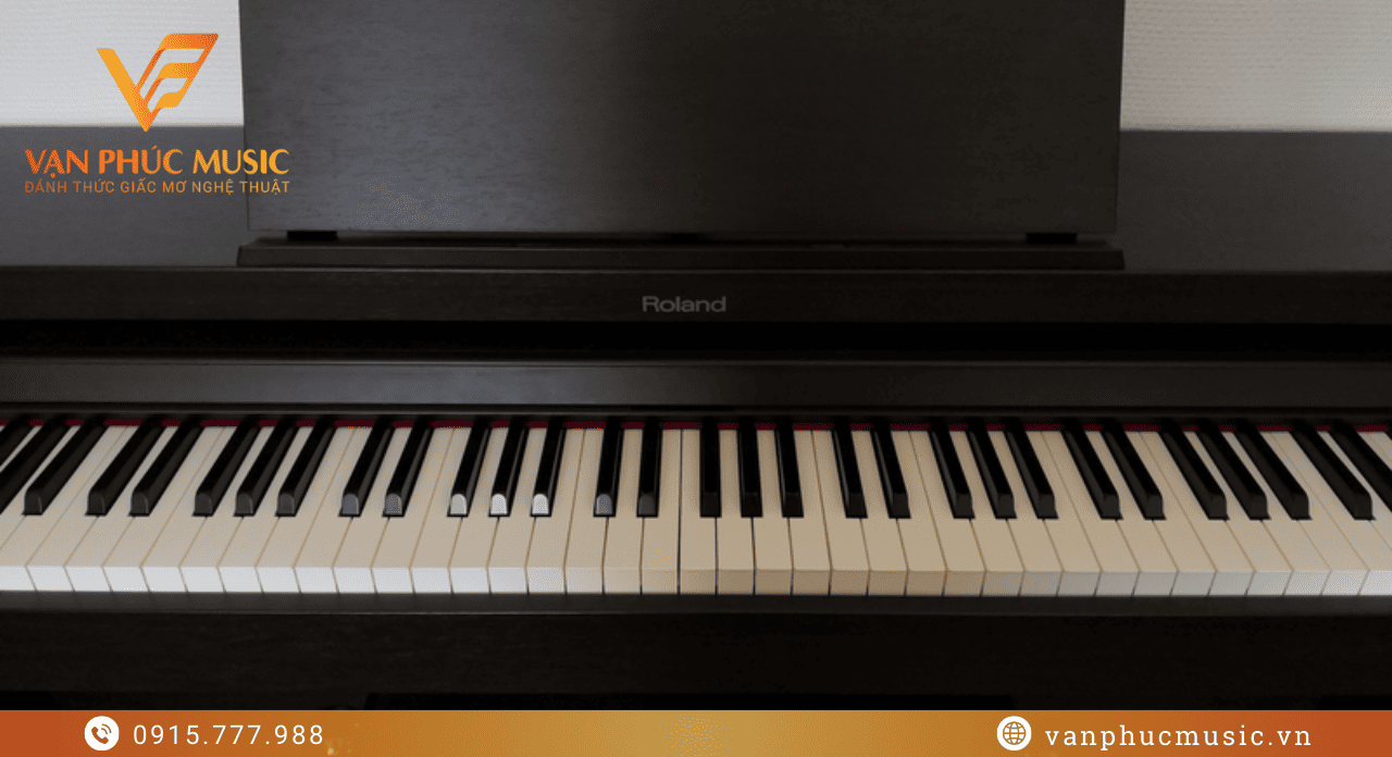 ROLAND HP504 CB ROLAND HP504 CB