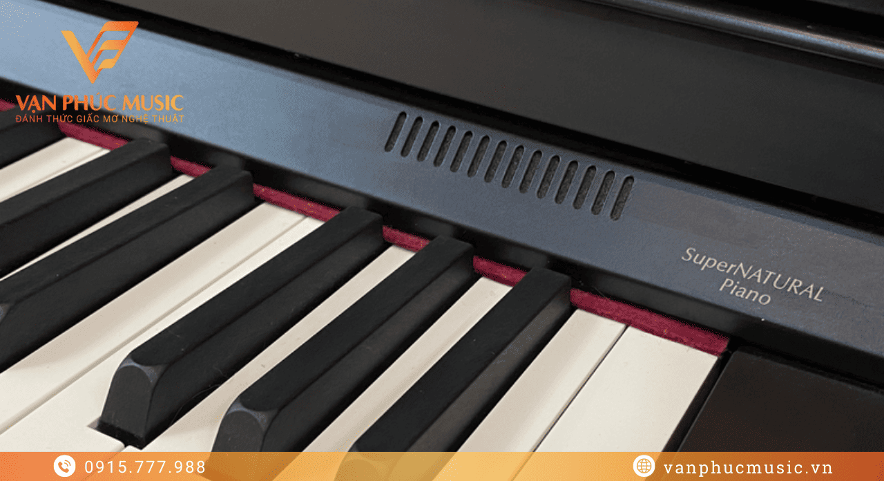 ROLAND HP 506GP-B ROLAND HP 506GP-B