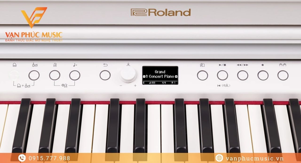 ROLAND RP 701WH