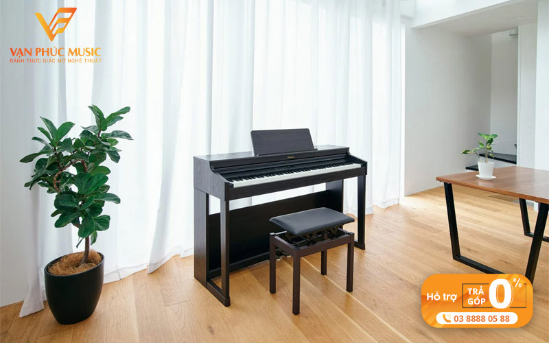 tong-quan-ve-roland-rp-701dr