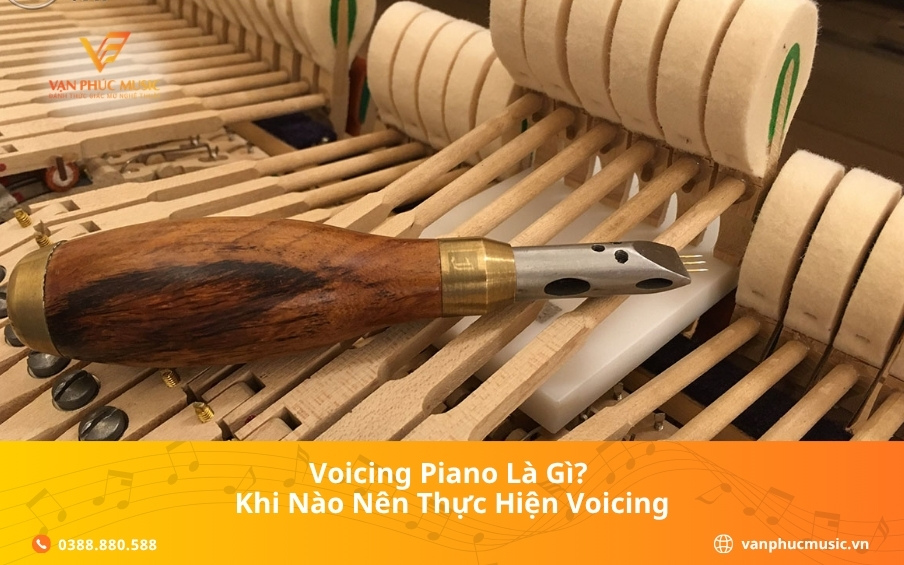 Voicing Piano là gì? Khi nào nên thực hiện voicing