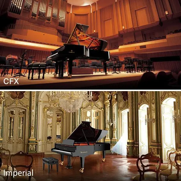 2 cây đàn Grand Concert nổi tiếng