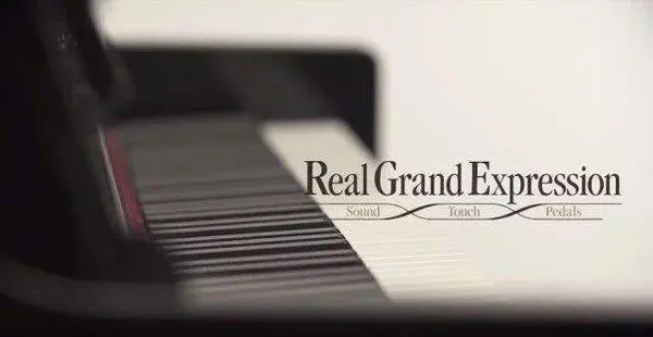 Real Grand Expression: âm thanh, cảm ứng và bàn đạp