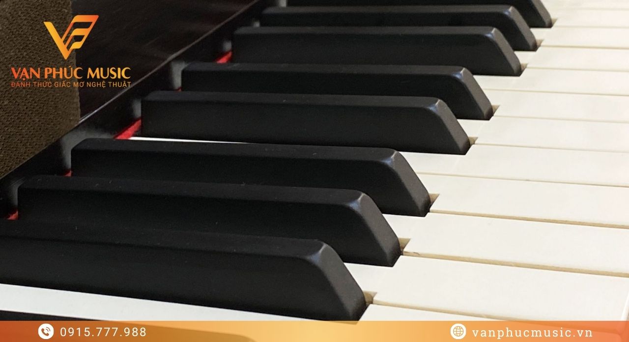 KAWAI CA67M KAWAI CA67M