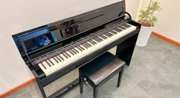 ROLAND DP-90S
